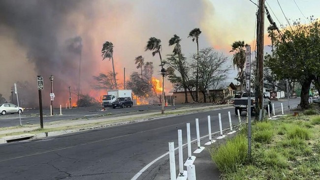Kebakaran hutan di Maui, Hawaii diduga imbas dari perubahan iklim yang terjadi sejak beberapa tahun terakhir/Net