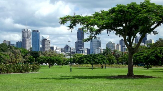 Memperbanyak ruang terbuka hijau dipercaya mampu menjadi salah satu solusi mengatasi buruknya kualitas udara di Jakarta/Net 