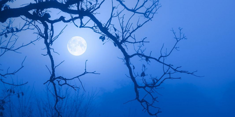 Peristiwa Blue Moon yang Jarang Terjadi/ Getty Images