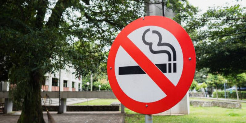 Kawasan bebas asap rokok jadi solusi mengurangi udara kotor/Pixabay
