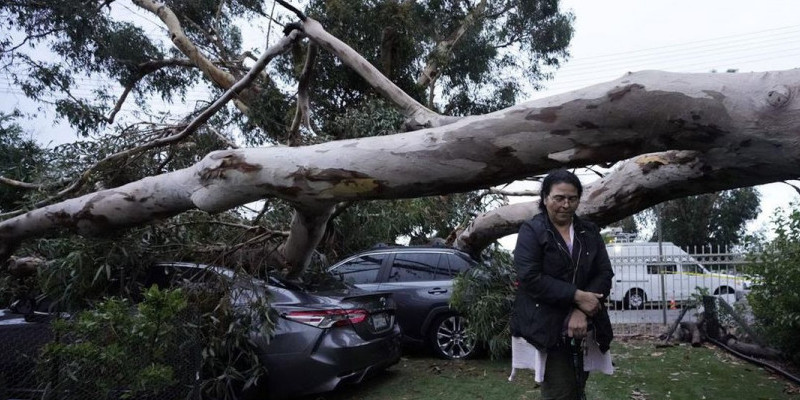 Pohon tumbang akibat badai Hilary di California/AP