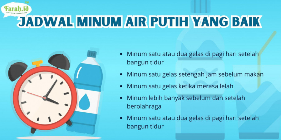 Infografis jadwal minum air putih yang baik/Dewi Anggraini/Farah