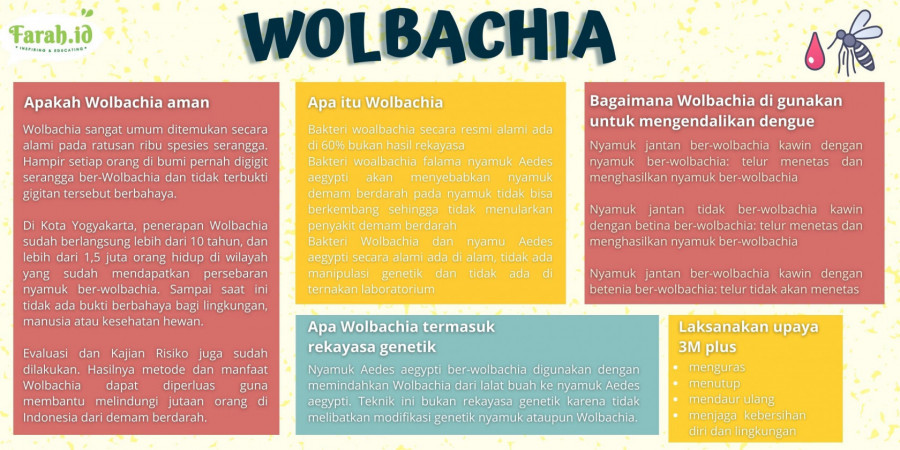 Infografis wolbachia/Dewi Anggraini/Farah