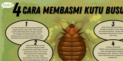 Jangan Beri Kesempatan Kutu Busuk untuk Hidup dan Berkembang Biak