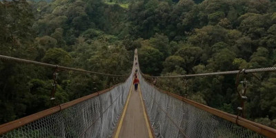 Rengganis Suspension Bridge Bandung, Salah Satu Jembatan Gantung Terpanjang di ASEAN yang Jadi Favorit Para Wisatawan
