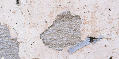 Tips Mendeteksi dan Membasmi Rayap yang Ada di dalam Tembok Rumah