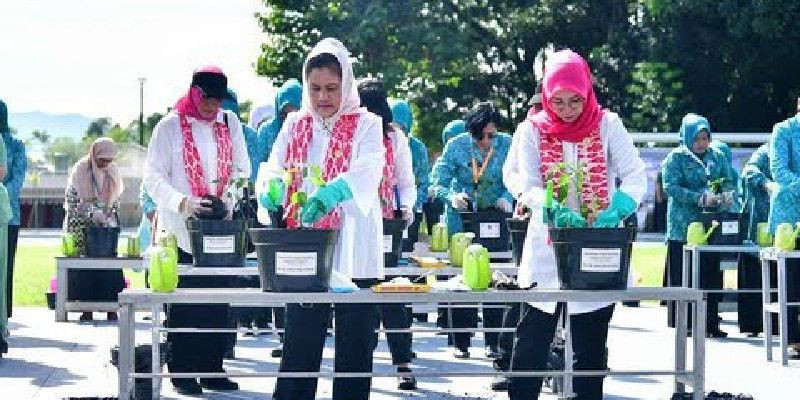 Ibu Negara bersama Istri Wakil Presiden dan jajaran istri KIM menanam cabai (4/3)/Sekretariat Presiden