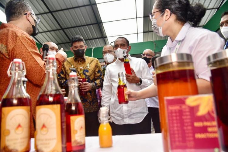Kementerian Pertanian meninjau pabrik minyak makan merah di Deli Serdang, Sumatera Utara/Antara