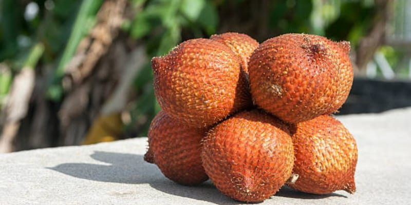 Buah salak/Unsplash