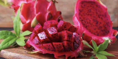 Jangan Remehkan Ragam Manfaat Buah Naga 