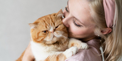 Tips Hemat Memelihara Kucing Peliharaan: Anabul Sehat, Kantong Terjaga