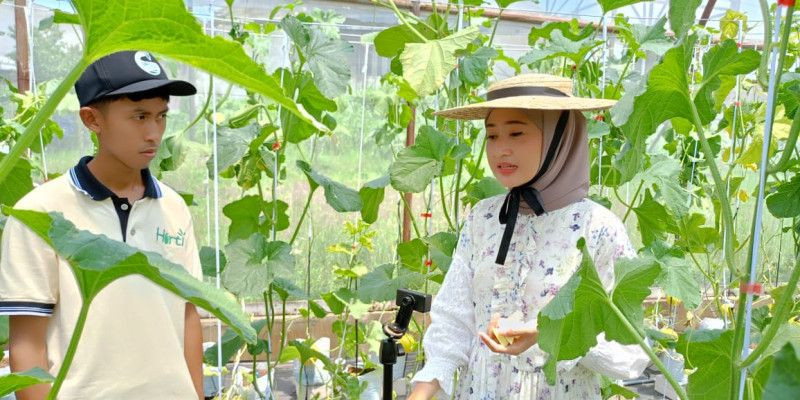 Pengelola Puspa Agraria Eka Rizki (kiri) mengantar salah satu pengunjung kebun melon hidroponik. (Win)