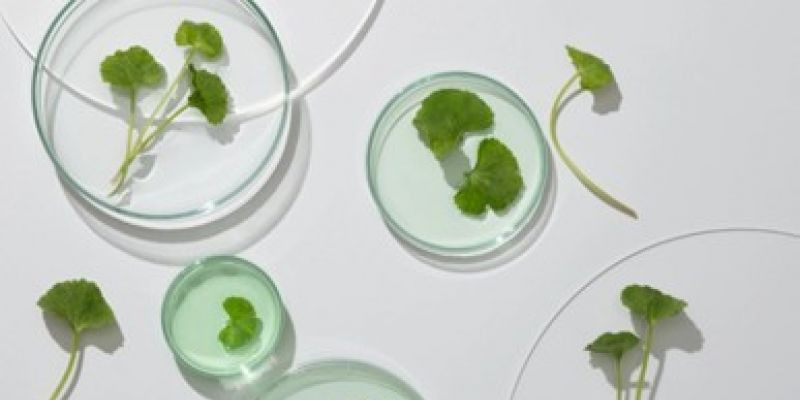 Centella Asiatica (Nooance)